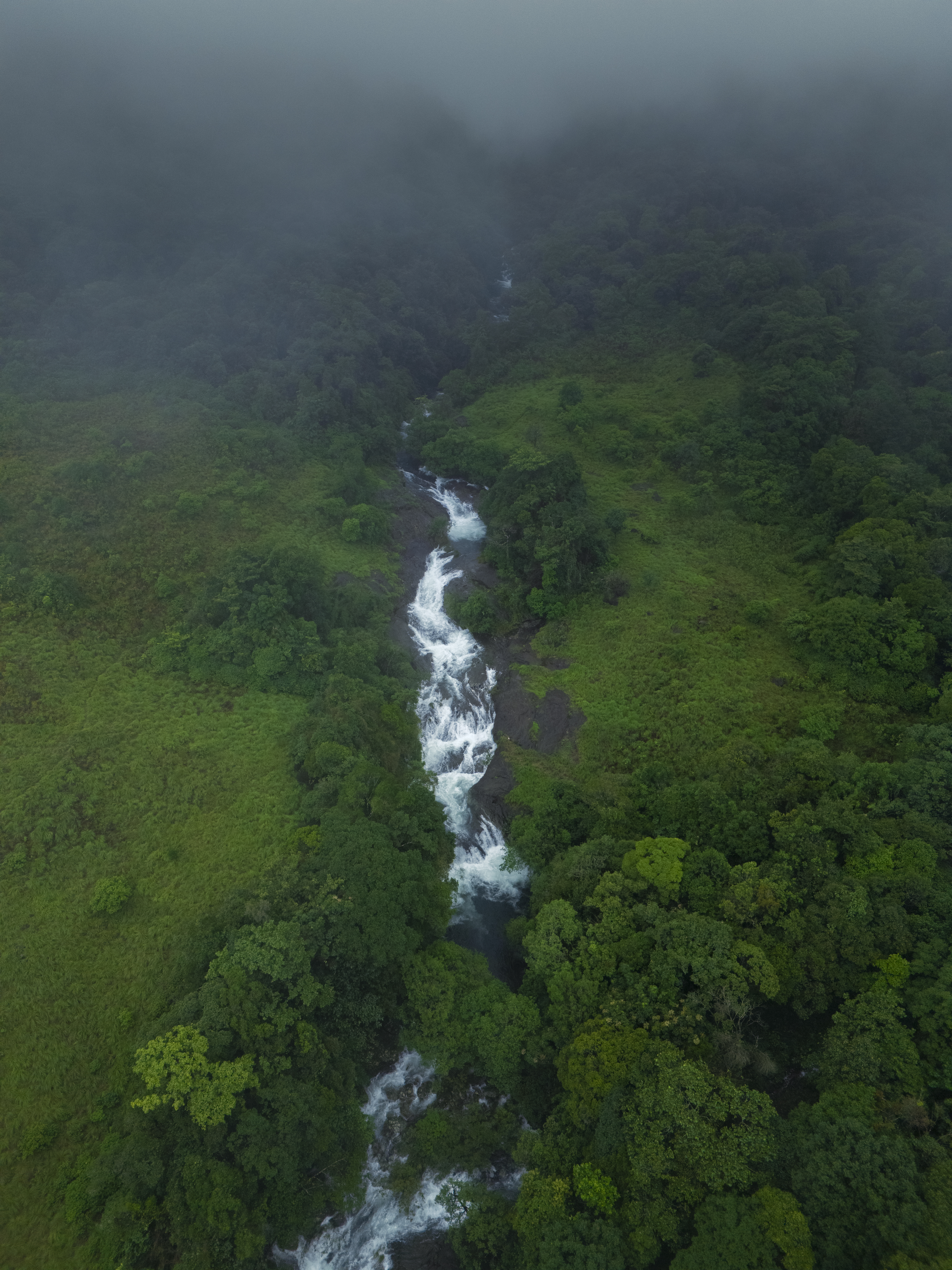 Stream from Tadiandamol