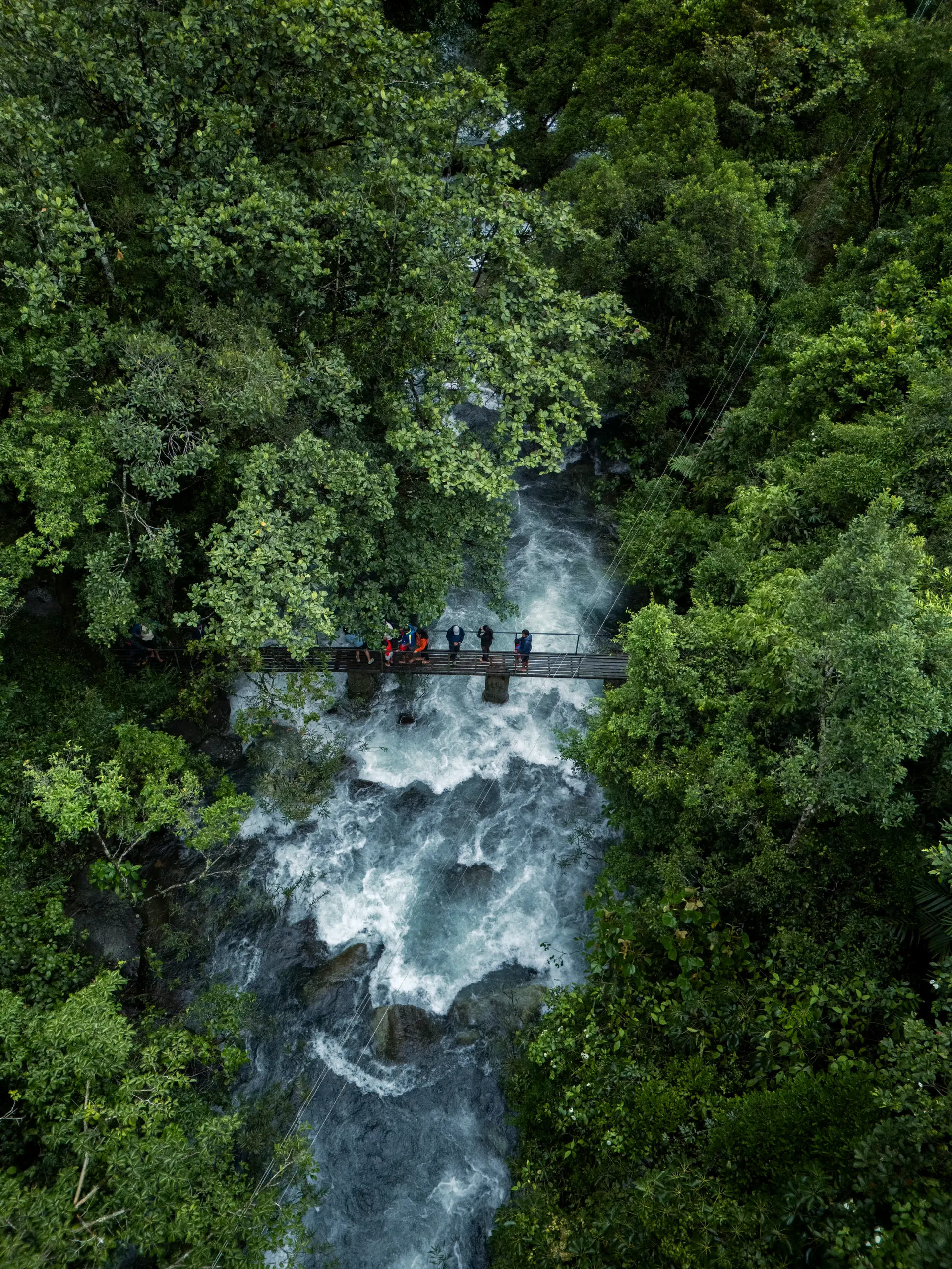 DJI_20250531094833_0416_D