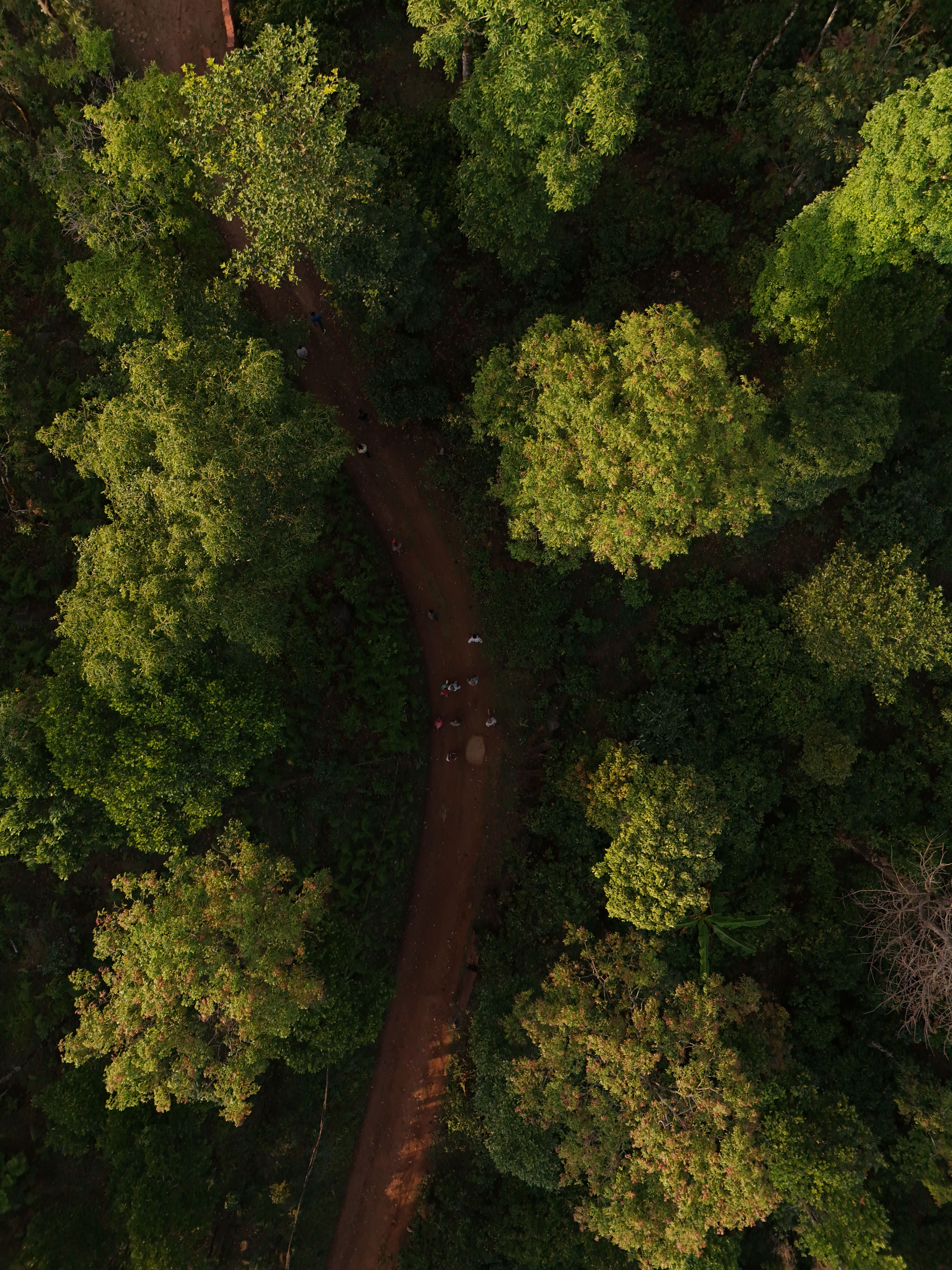 Mother's Nature