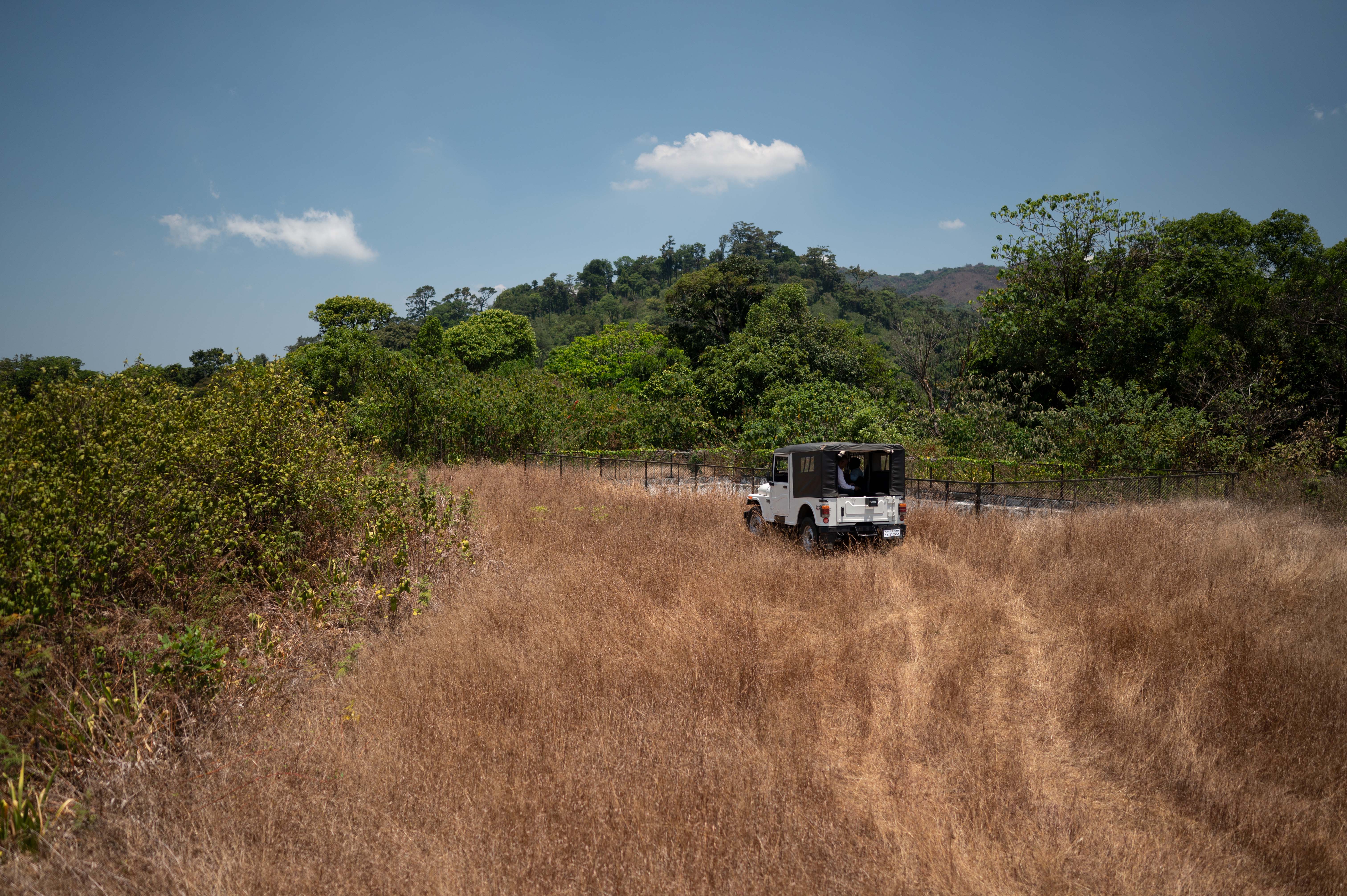 Western Ghats Biodiversity
