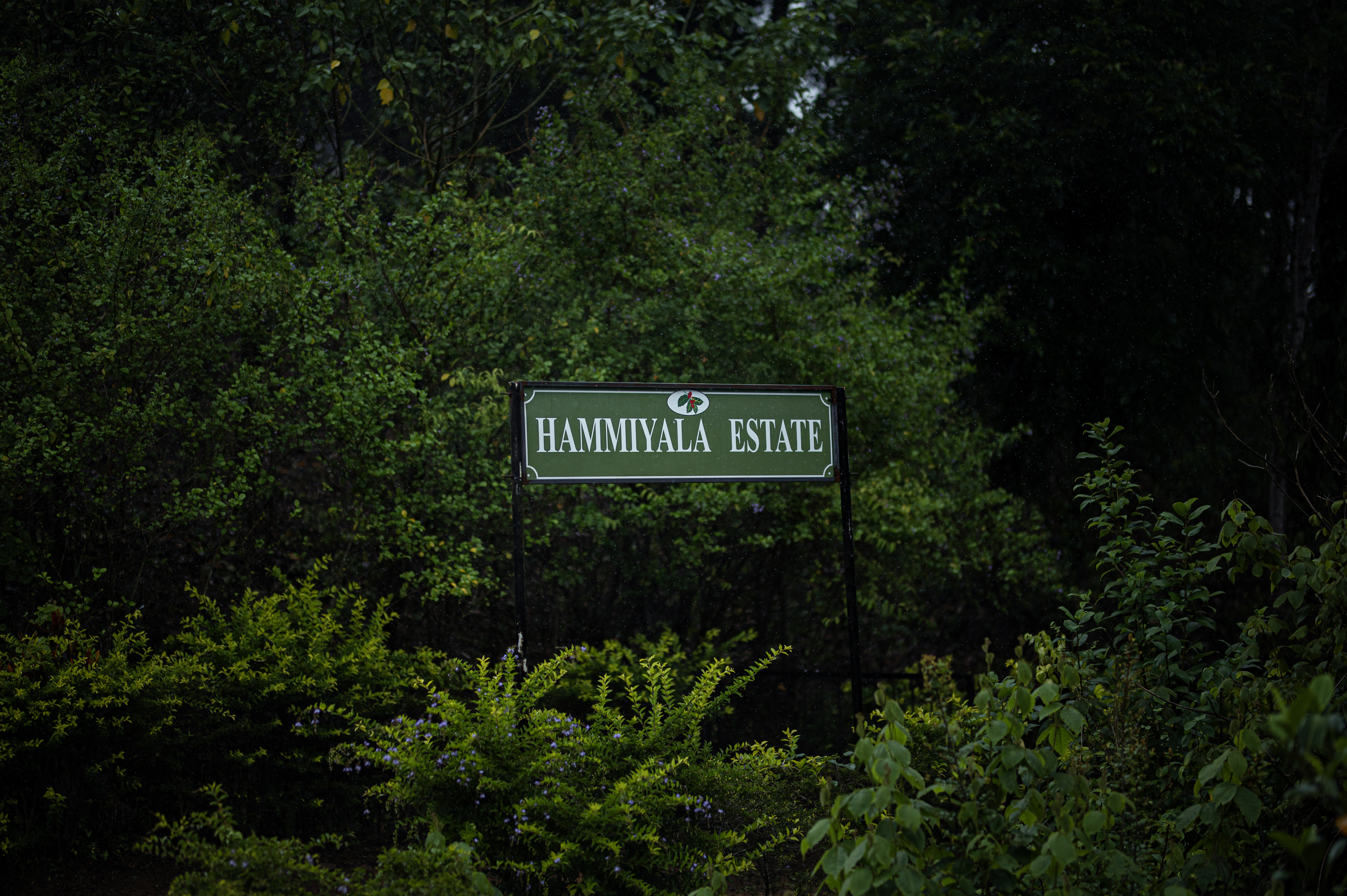 Hammiyala Estate