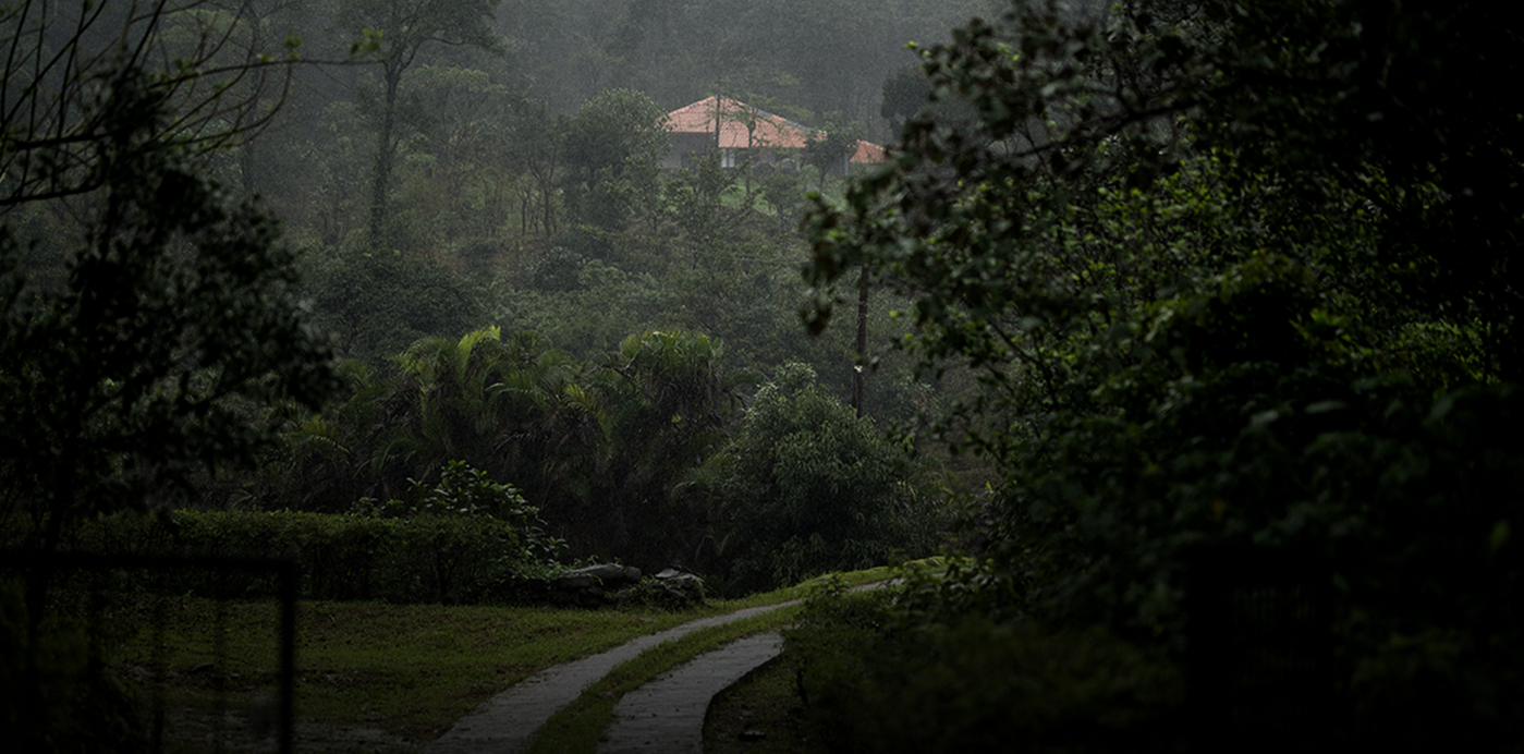 Hammiyala Collective