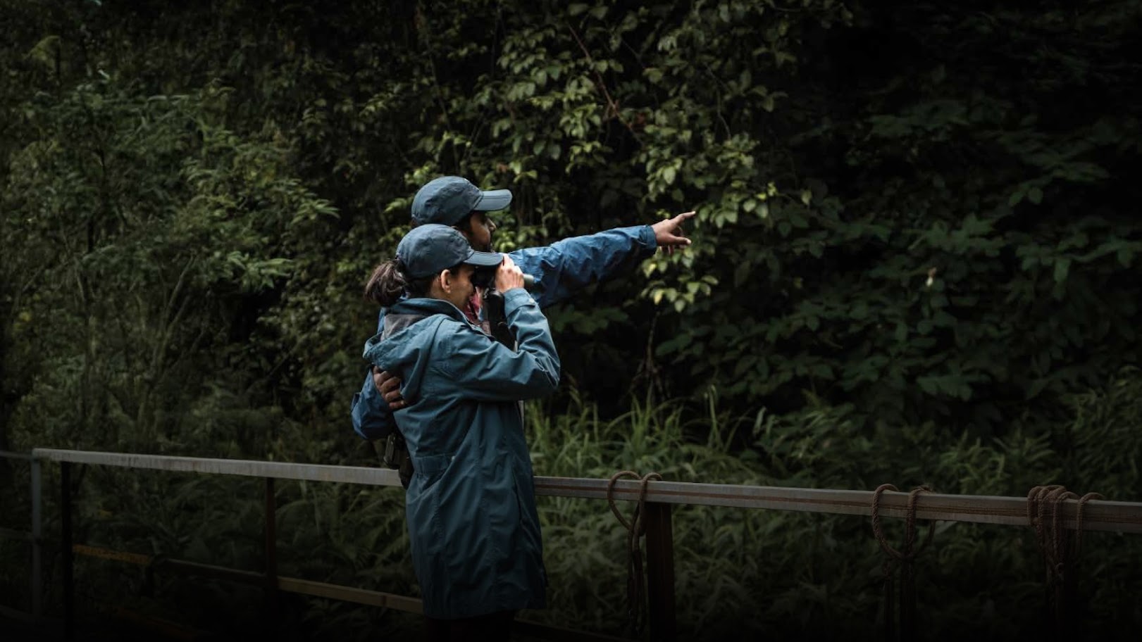 Person with binoculars in nature