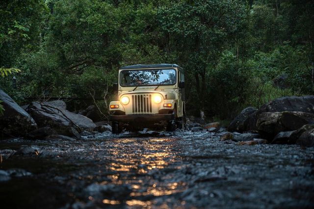 Jungle Book of Secrets Experience