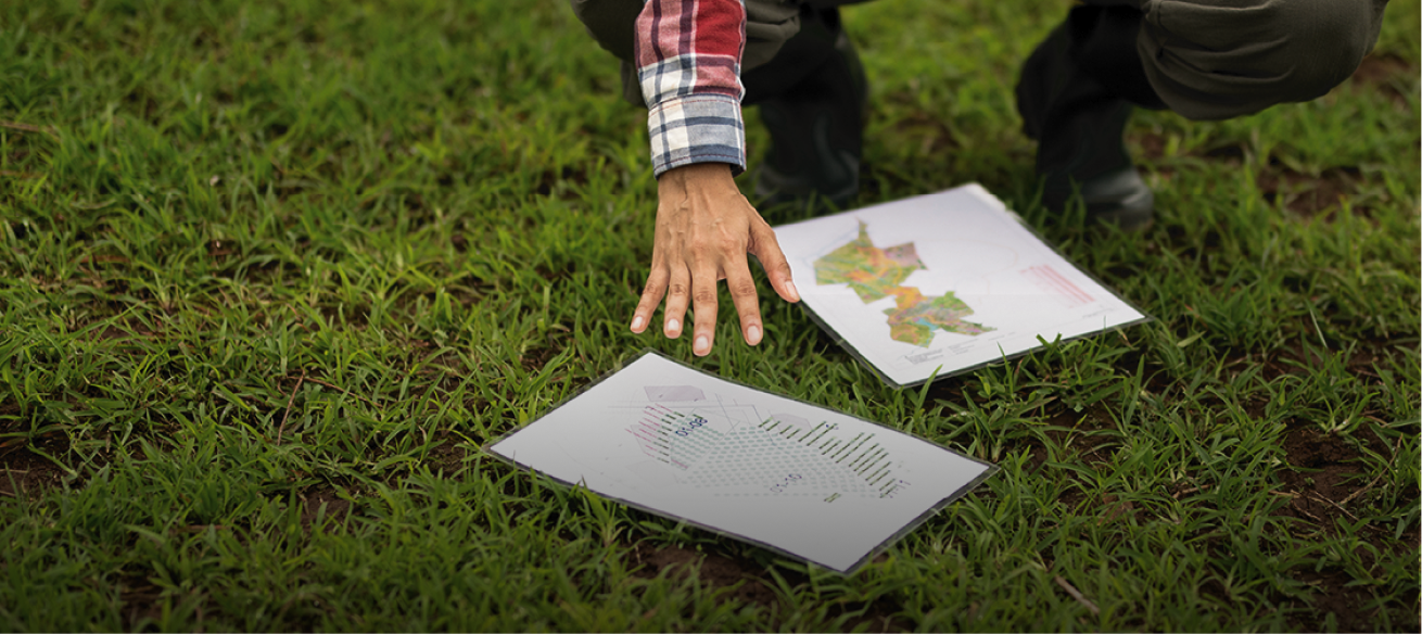 Hands pointing at landscape plans on grass